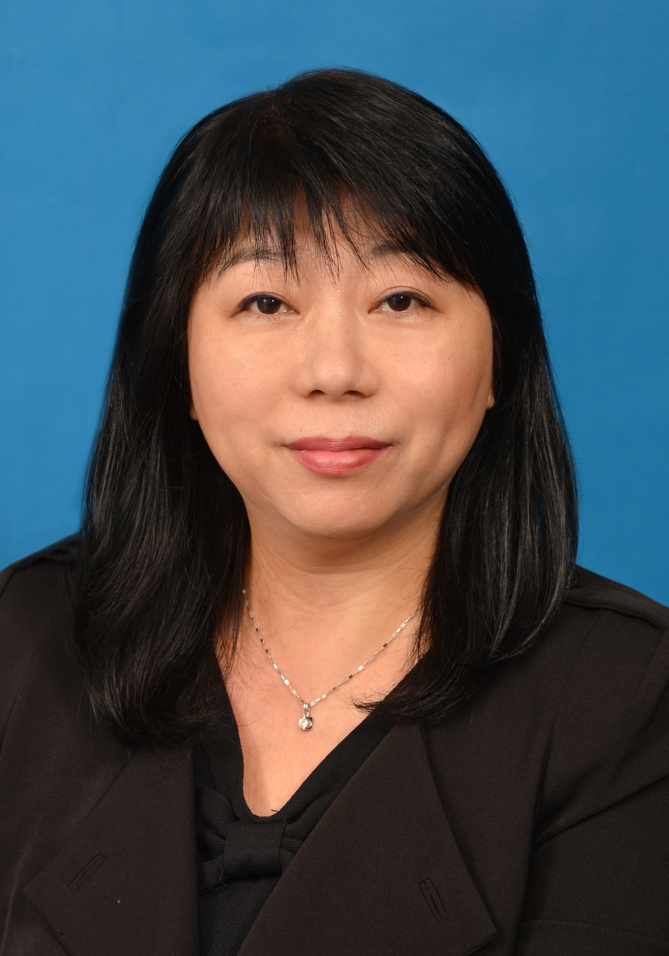 V Chairman, IDSC - Lam Man Ying Lillian